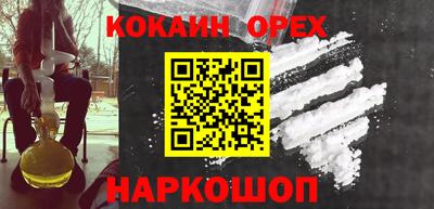шишки Дубна