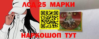 шишки Дубна