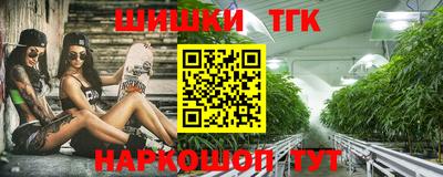 шишки Дубна