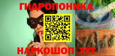 шишки Дубна
