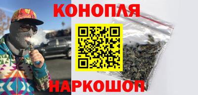 шишки Дубна