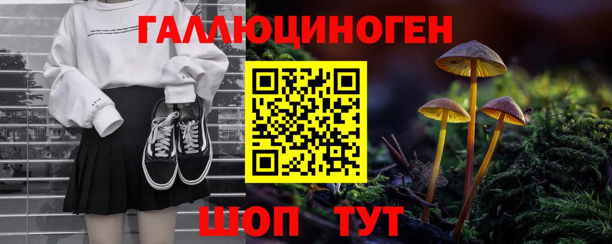 Псилоцибиновые грибы MAGIC MUSHROOMS  Вход с VPN  Кстово 